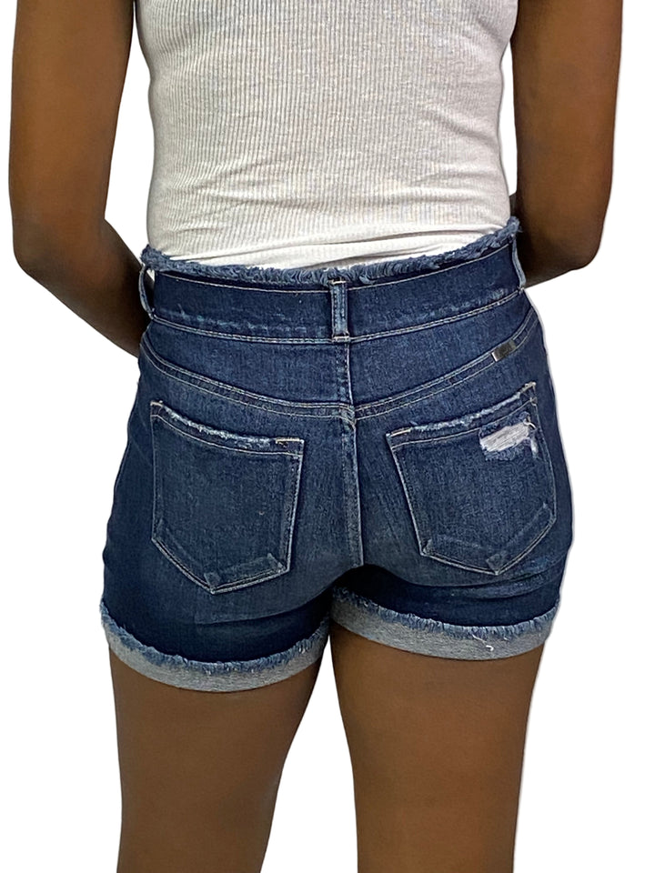 Hallie High Rise Distressed Shorts
